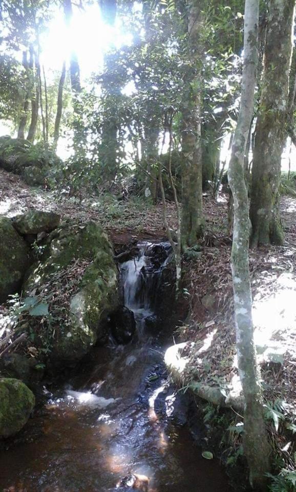 Camping Caitano Otel Campo Grande  Dış mekan fotoğraf